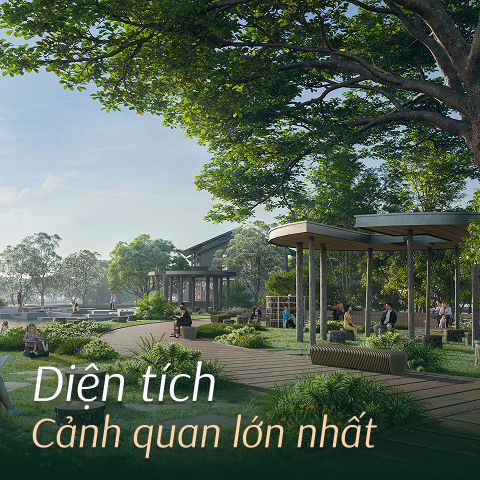 Diện tích cảnh quan lớn nhất